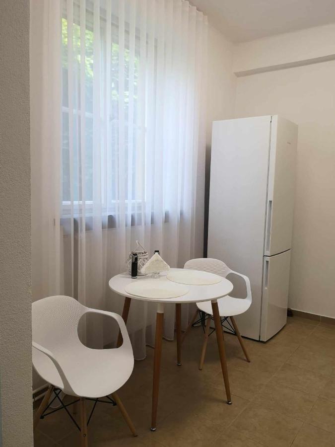 Apartman Dlouha 207 Litoměřice Exteriör bild